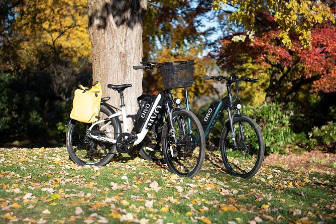 eBike Rentals in Kelowna - What the cycling environment is like: bike lanes make it easier