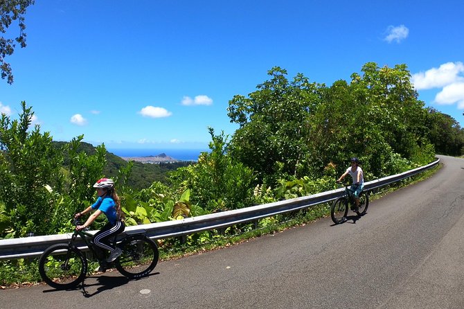 eBike Tour Honolulu Rainforest - Key Highlights You’ll Actually Feel