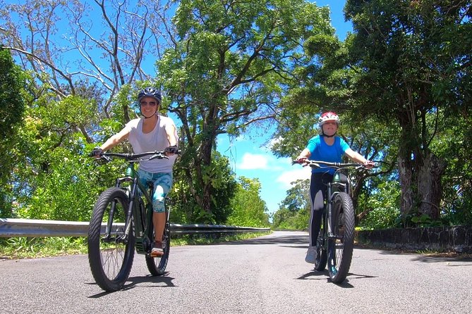 eBike Tour Honolulu Rainforest - Entering The Ride: Archie Baker Mini Park Setup and Pickup