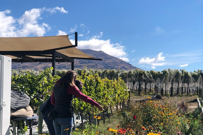 ebike tour lake Dunstan wine tasting - Kawarau Arm to Bannockburn Bridge: Lake Views Without the Work