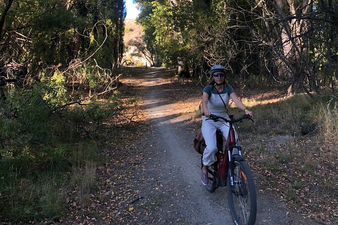 ebike tour lake Dunstan wine tasting - The Pace of a ~6-Hour Day: What You’ll Actually Do
