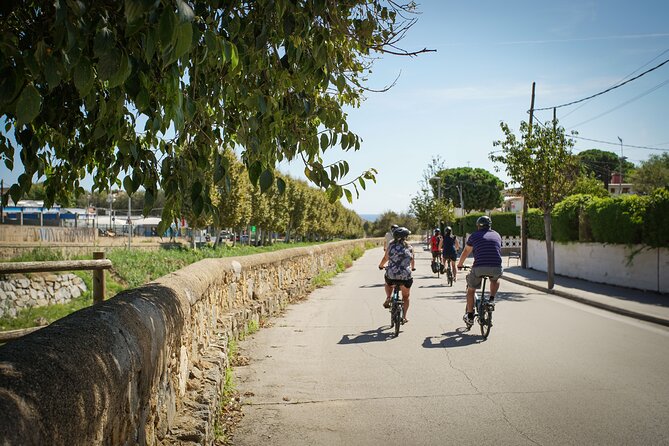 Ebike Tour, Winery, Wine Tasting & Sailing Experience(car option) - Small-group size and the guide factor: why the day feels personal