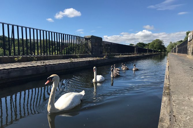 Edinburgh City Bike Tour - Choice of E-Bike or Manual - Union Canal to Bruntsfield Links: a calm opener before the views