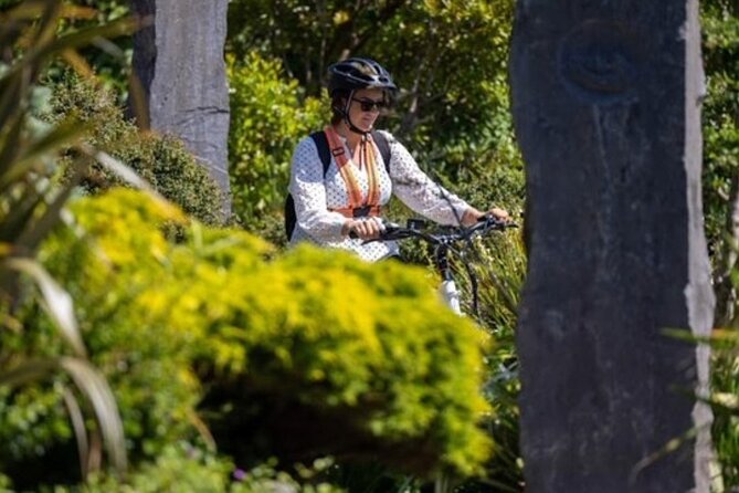 Electric Bike Tour of Kinsale with Expert Local Guide - Who should book this tour (and who might want a backup plan)