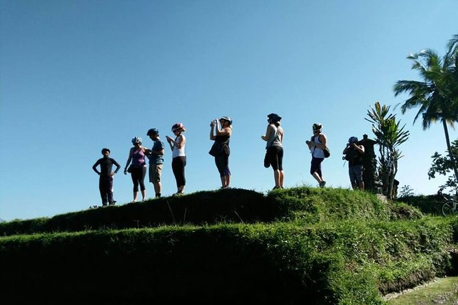 Electric Cycling Tour of Ubud with Free Hotel Transfer and Lunch - The ride rhythm: Guides, traffic control, and keeping the group together