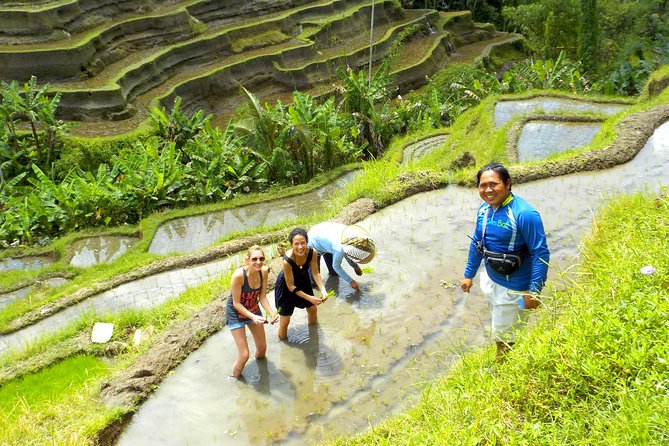 Electric Cycling Tour of Ubud with Free Hotel Transfer and Lunch - Coffee plantation or traditional house: A stop worth choosing carefully