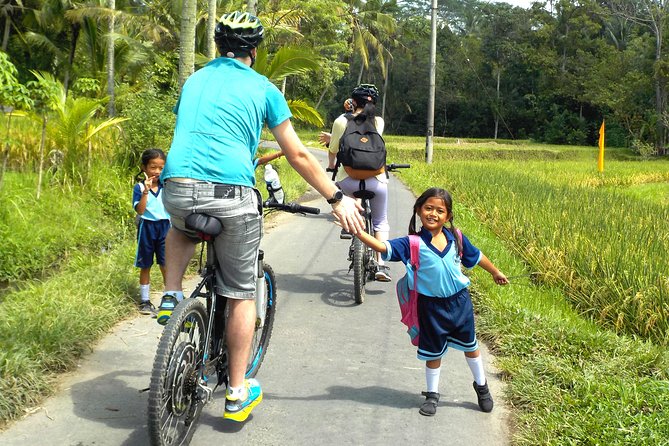 Electric Cycling Tour of Ubud with Free Hotel Transfer and Lunch - Price and value: What $41 buys you (and what it replaces)