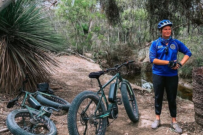 Electric Fat Bike Tour in Kangaroo Island - Where You Start: Vivonne Bay Meet-Up Reality Check
