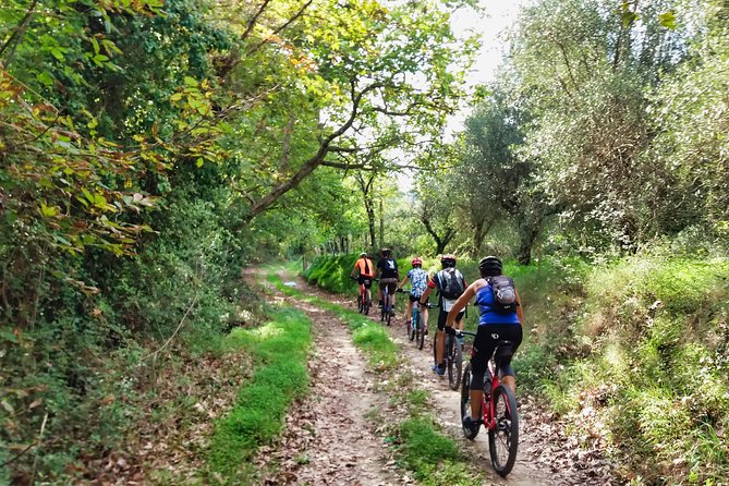 Eleftherna E-Bike and MTB Tour - Experience The Authentic Crete - Key highlights and what they mean for you