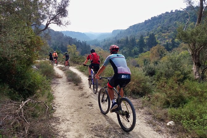 Eleftherna E-Bike and MTB Tour - Experience The Authentic Crete - Royal Blue Resort start in Panormos: your morning, your pace