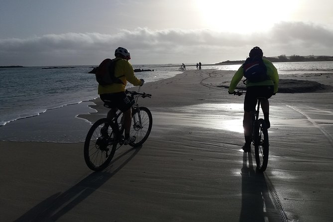 Eleftherna E-Bike and MTB Tour - Experience The Authentic Crete - Small group + English guidance = less confusion, more confidence