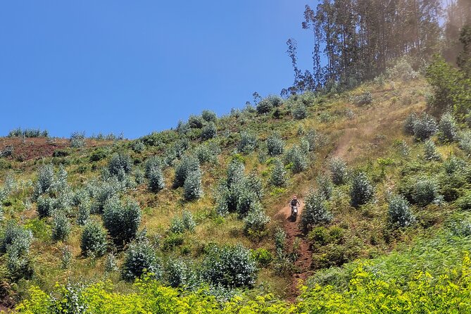 Enduro Dirt-Bike Tour - Logistics that matter: group size, timing, and weather