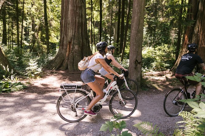 Epic Electric Bike Tour by Cycle City Tours - Chinatown and Gastown: History You Can Actually Walk Through