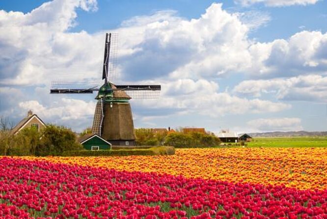 Escape Amsterdam: E-Bike to Zaanse Schans Windmills & Zaandam - Key takeaways