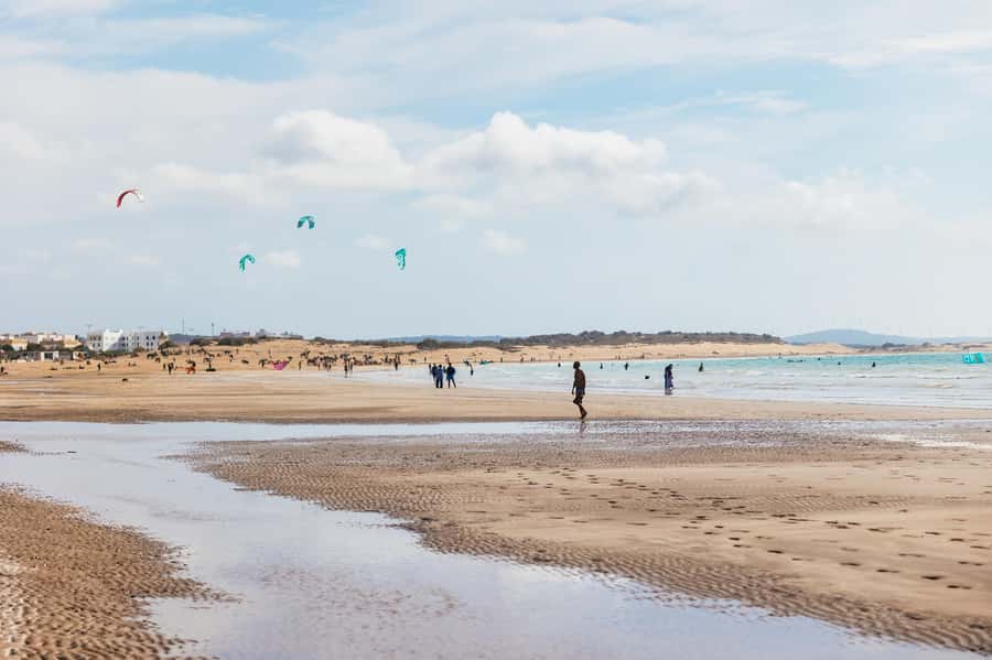 Essaouira Sand Dunes: Half Day Quad Bike Tour - Riding the Dune Fields: Sandy, Rocky, and the Real-Deal Off-Road Variety