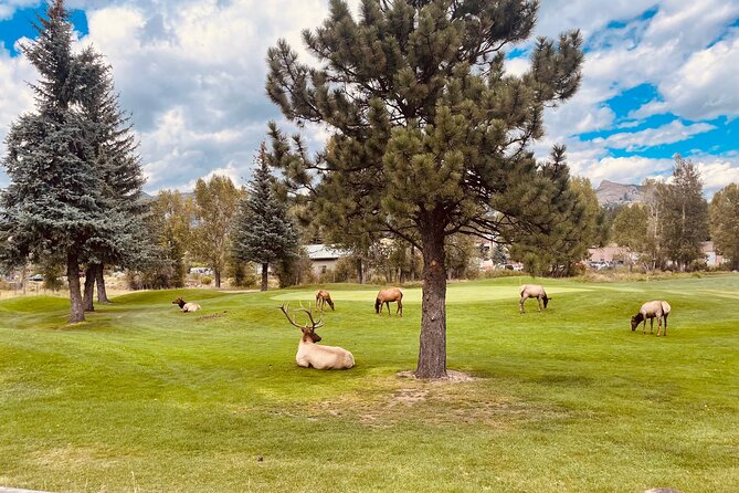 Estes Park Guided E-Bike Tour - Stop 2: Estes Park town views that set the route tone