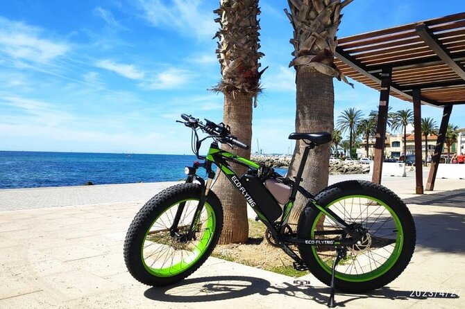 Exclusive Fat Tire E-Bike Tour in Palma - Stop 1: Plaça de Cort and the Olivera de Cort symbol