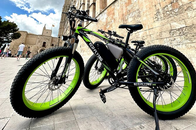 Exclusive Fat Tire E-Bike Tour in Palma - Stop 3: Parc de la Mar under the cathedral’s shadow