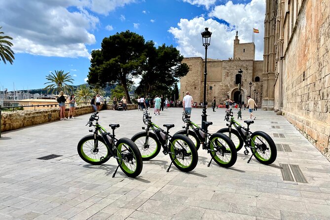 Exclusive Fat Tire E-Bike Tour in Palma - Stop 4: Passeig Portitxol and the fishing-harbor vibe