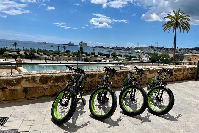 Exclusive Fat Tire E-Bike Tour in Palma - Stop 5: El Molinar, long sandy bay by the cathedral views