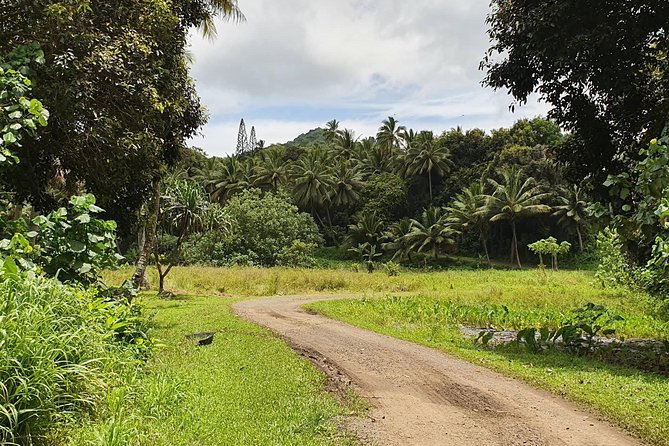'Explore' Rarotonga Guided Bike Tour with Lunch and Swim - Price and value: what $93.09 buys you (and what it doesn’t)