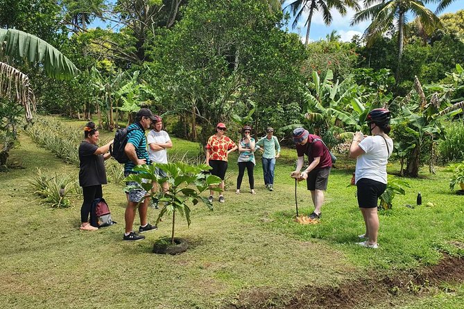 'Explore' Rarotonga Guided Bike Tour with Lunch and Swim - Arorangi Stop: Village sights, churches, Black Rock, and gardens