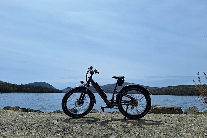 Fat Tire E-Bike Rental in Bar Harbor - Picking Your Pace: How Route Freedom Works on the Carriage Roads