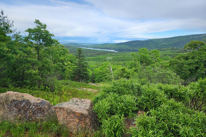 Fat Tire E-Bike Rental in Bar Harbor - Pricing That Actually Makes Sense for Acadia Time
