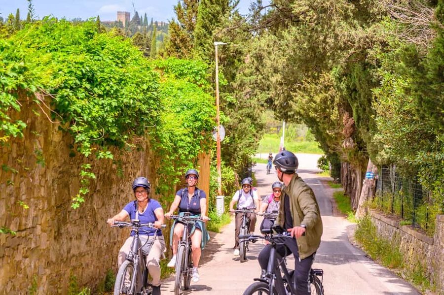 Fiesole E-Bike Tour with Olive Oil Tasting or Pool & Chill - Morning choice: traditional olive mill and extra-virgin tasting