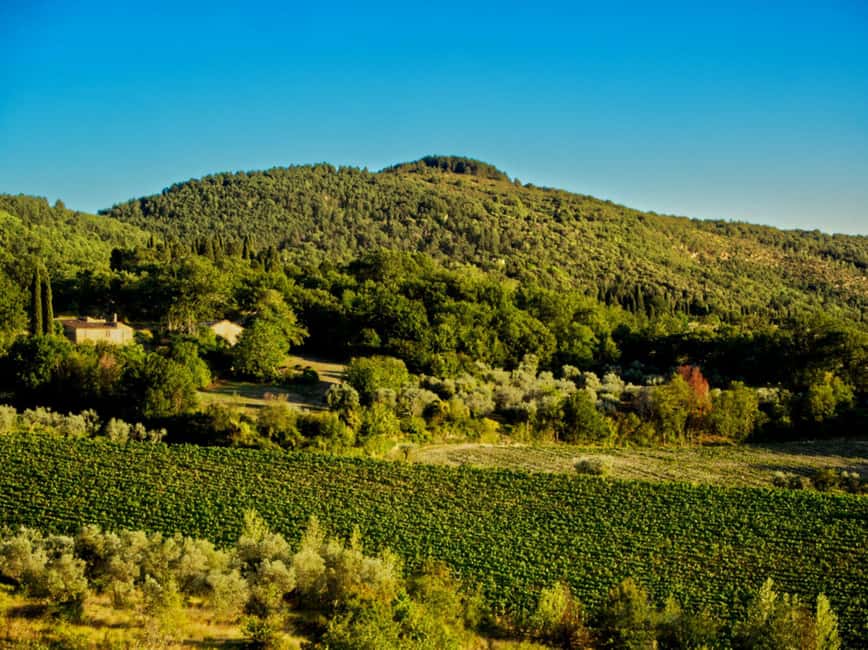 Fiesole E-Bike Tour with Olive Oil Tasting or Pool & Chill - Tips to make the day smoother (and tastier)
