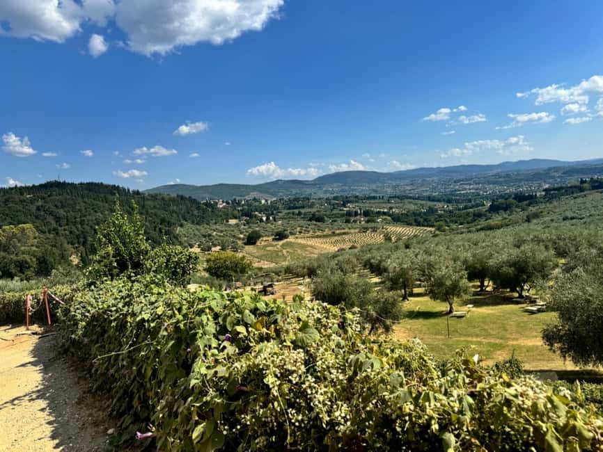 Fiesole E-Bike Tour with Olive Oil Tasting or Pool & Chill - Should you book the Fiesole e-bike tour?
