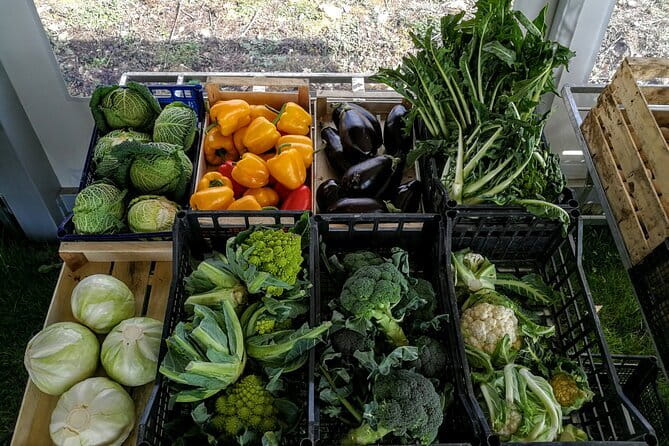 Fiesole: Tuscan Countryside Half Day E-Bike Tour & Farm visit - Settignano and Parco di Montececeri: Michelangelo and Leonardo sightings