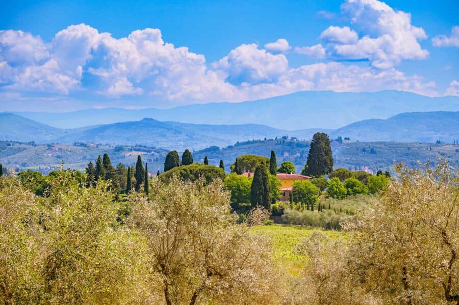 Florence: Chianti E-Bike Tour with Lunch & Two Wine Tastings - Key things that make this tour worth your time