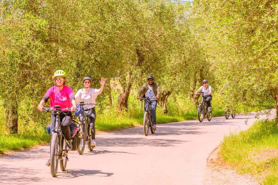 Florence: Chianti E-Bike Tour with Lunch & Two Wine Tastings - Guides matter here: what names like Yo, David, and Grace signal