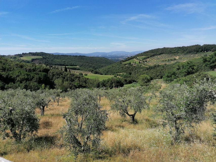 Florence: E-Bike Tour with Olive Oil in the Tuscan Hills - Price and value: how $65 makes sense for 2.5 hours