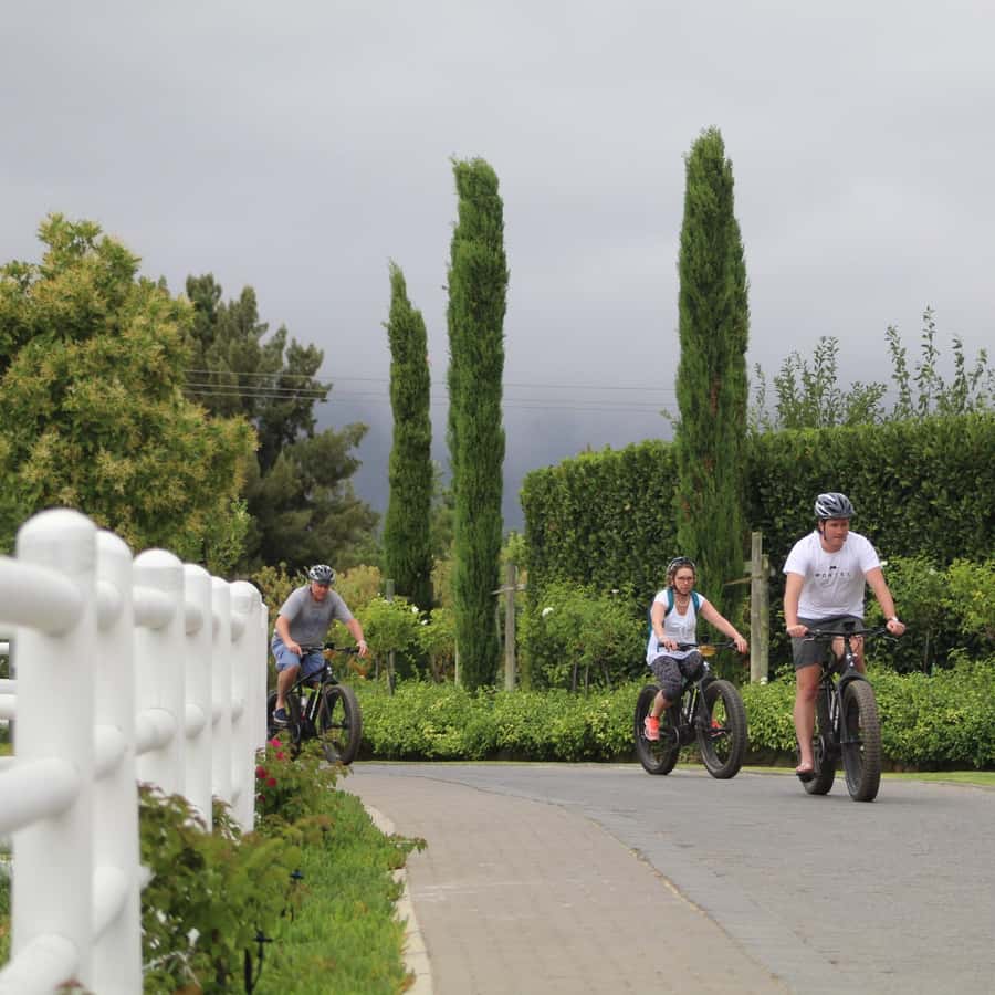 Franschhoek: E-Bike Guided Winery Tour - Key Points at a Glance