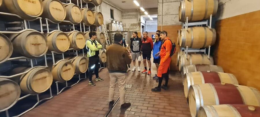 Frascati: Tour in E-Bike with Wine Tasting - The Wine Part: Frascati Superiore Tasting in Historic Cellars