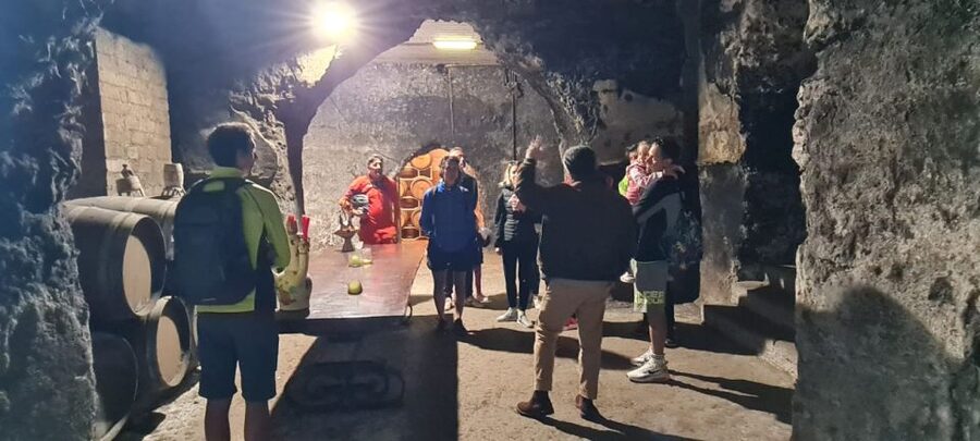 Frascati: Tour in E-Bike with Wine Tasting - Guides and Pace: Flavio, Giampiero, and How the Day Stays Smooth