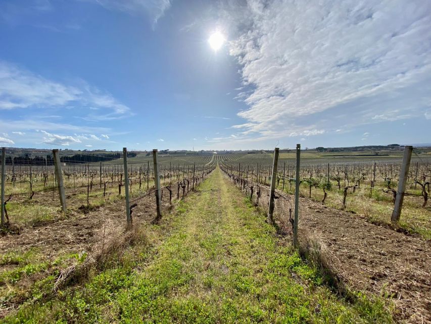 Frascati: Tour in E-Bike with Wine Tasting - FAQ