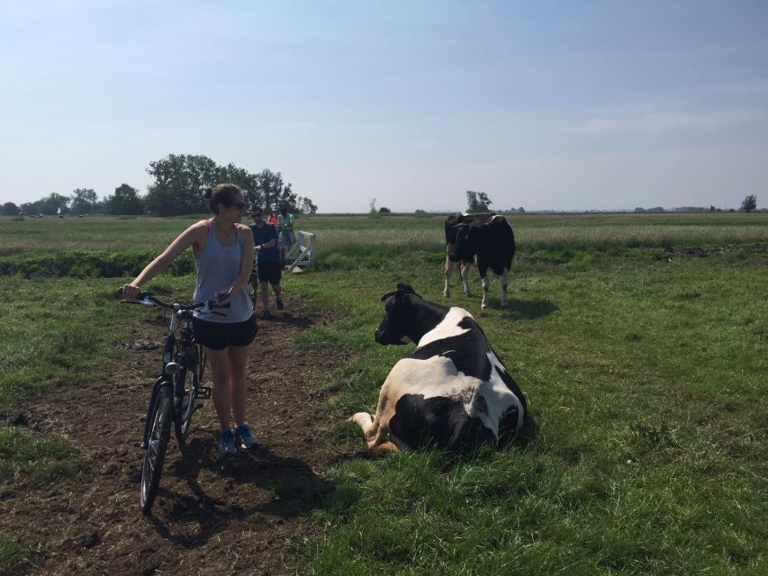 From Amsterdam: Countryside Bike Tour - Key highlights at a glance