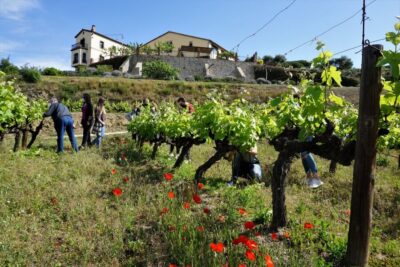 From Barcelona: E-Bike and Sailing Tour with Wine Tastings - First Leg Out of Barcelona: The E-Bike Coast Run