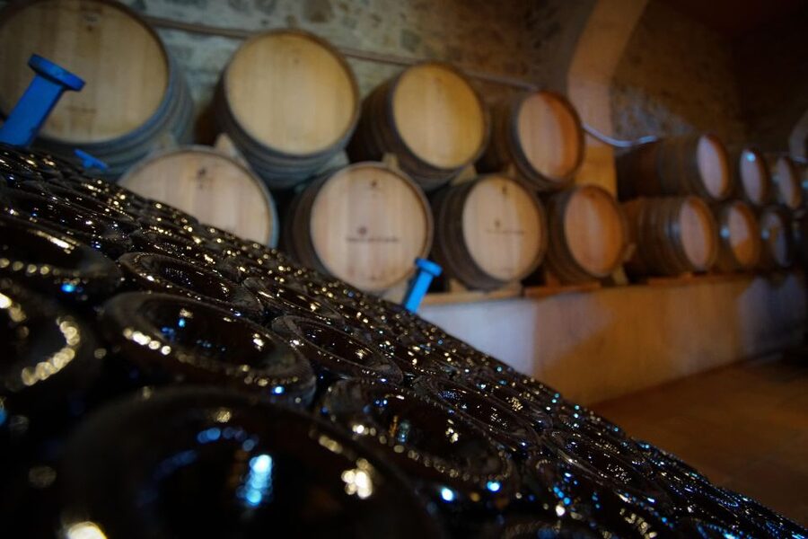 From Barcelona: E-Bike and Sailing Tour with Wine Tastings - Port Masnou and the Turn Toward the Water