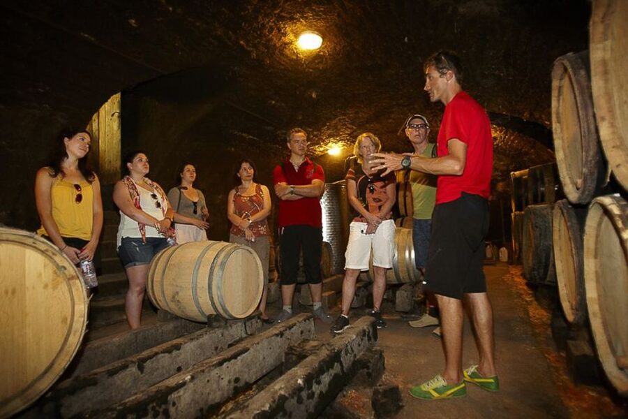 From Beaune: Full-Day Bicycle and Wine Tour in Burgundy - Key things you’ll remember