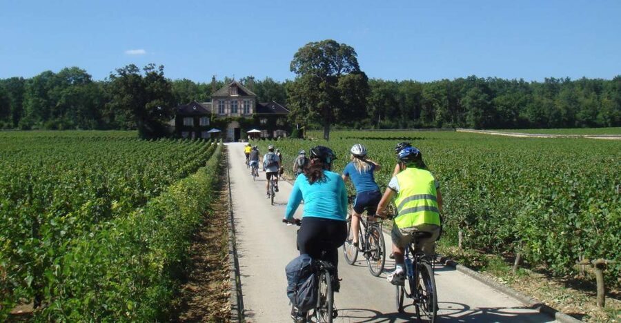 From Beaune: Full-Day Bicycle and Wine Tour in Burgundy - Côte de Beaune cycling: vineyards, villages, and the La Rochepot moment