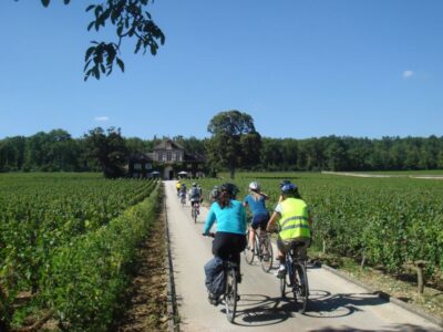 From Beaune: Full-Day Bicycle and Wine Tour in Burgundy - Getting set up: bikes, helmets, and the first van ride