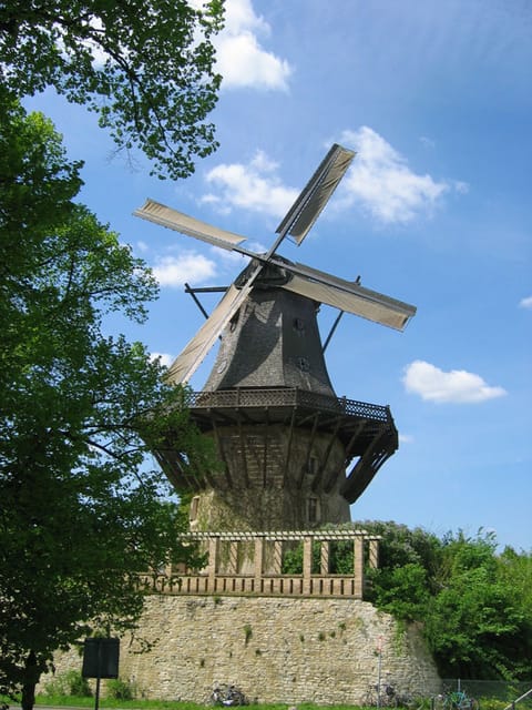From Berlin: Gardens & Palaces of Potsdam Bike Tour - Why Potsdam by Bike Works Better Than a Fast Bus Tour