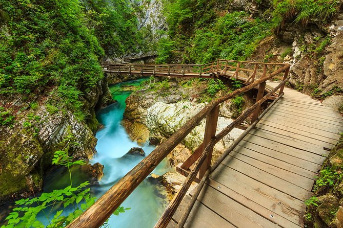 From Bled: Self-Guided E-Bike Tour to Vintgar Gorge - The Ride to Vintgar Gorge: Scenic, Hilly, and Way Easier With Assist