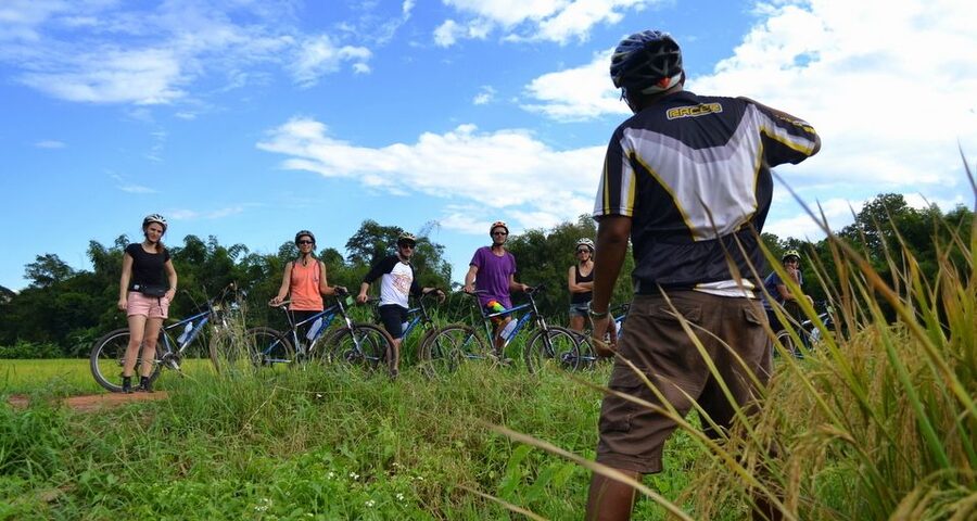 From Chiang Mai: Mae Taeng Valley and Waterfalls Cycle Tour - The Heart of the Day: Cycling Through Rice Fields and Village Life
