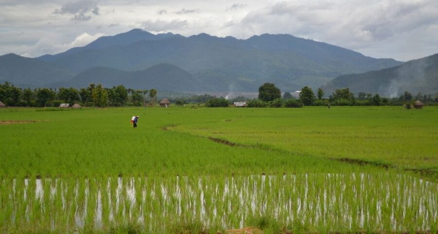 From Chiang Mai: Mae Taeng Valley and Waterfalls Cycle Tour - Thai Lunch in a Tropical Garden: What You’ll Actually Feel