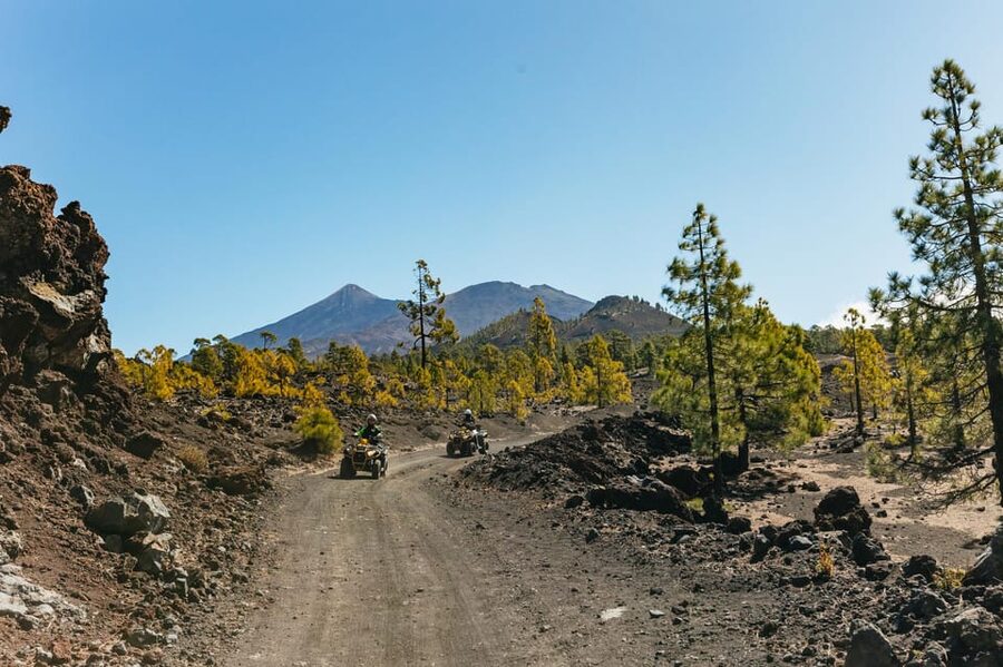From Costa Adeje: Mount Teide Forest Off-Road Quad Bike Tour - Key Points You’ll Care About